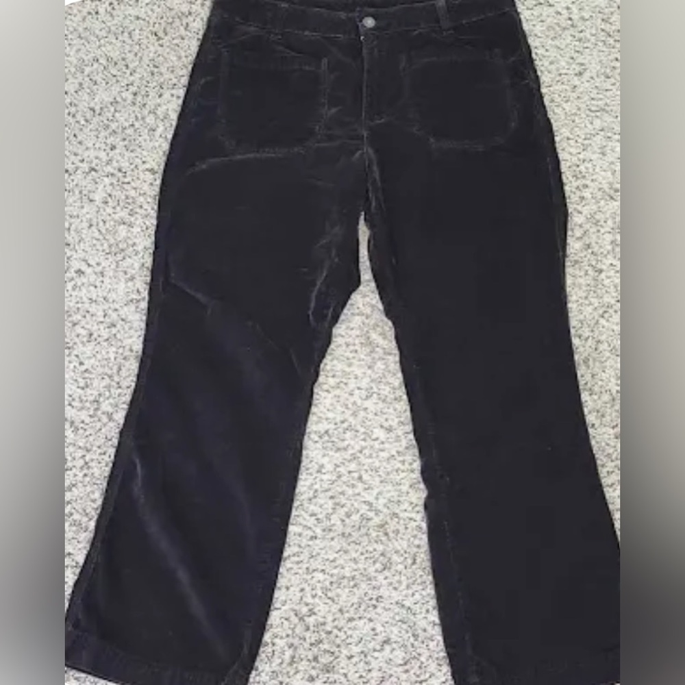 Free People Black Velvet Pants